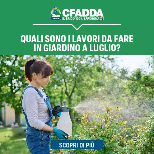 Lavori da fare in giardino a luglio