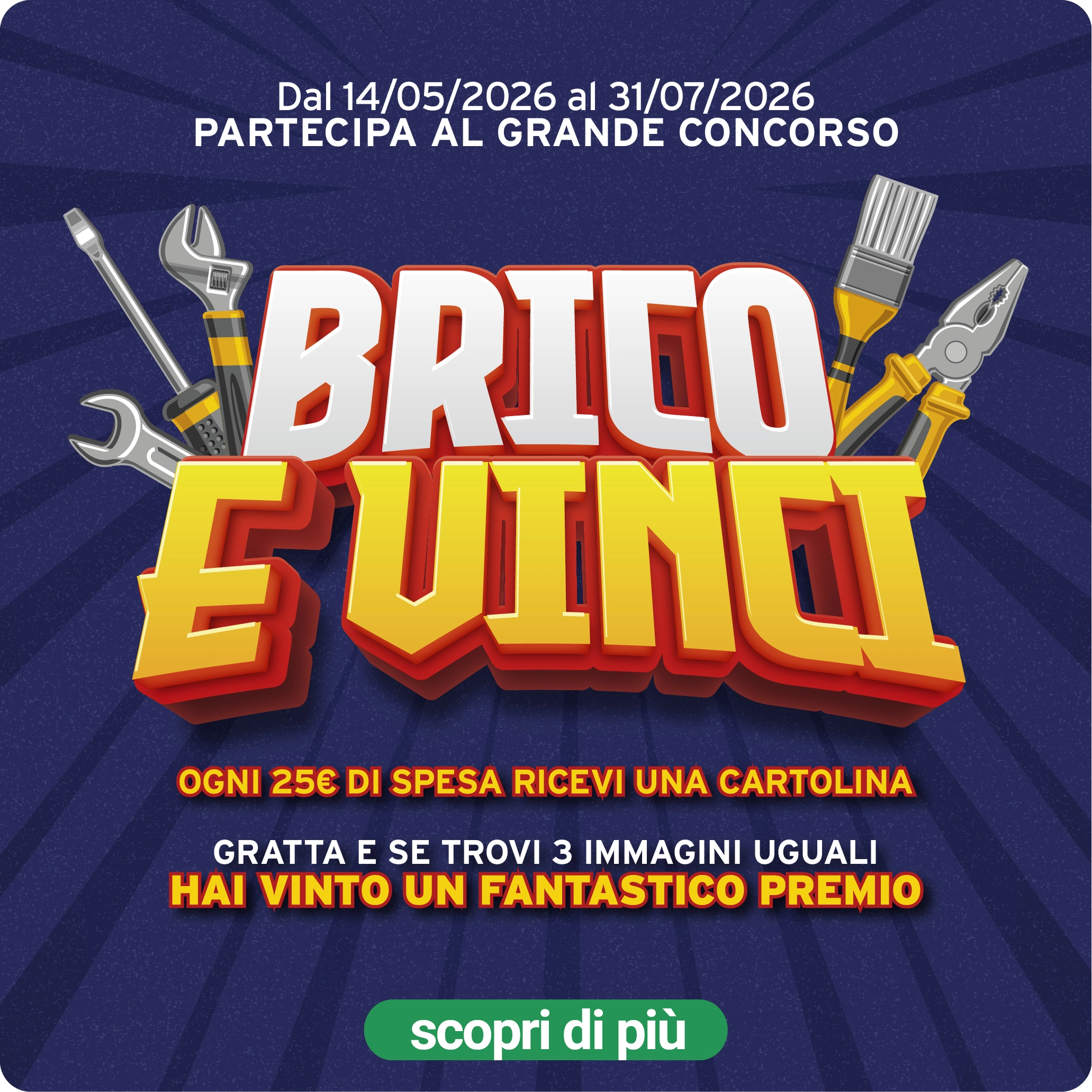 Brico e Vinci!