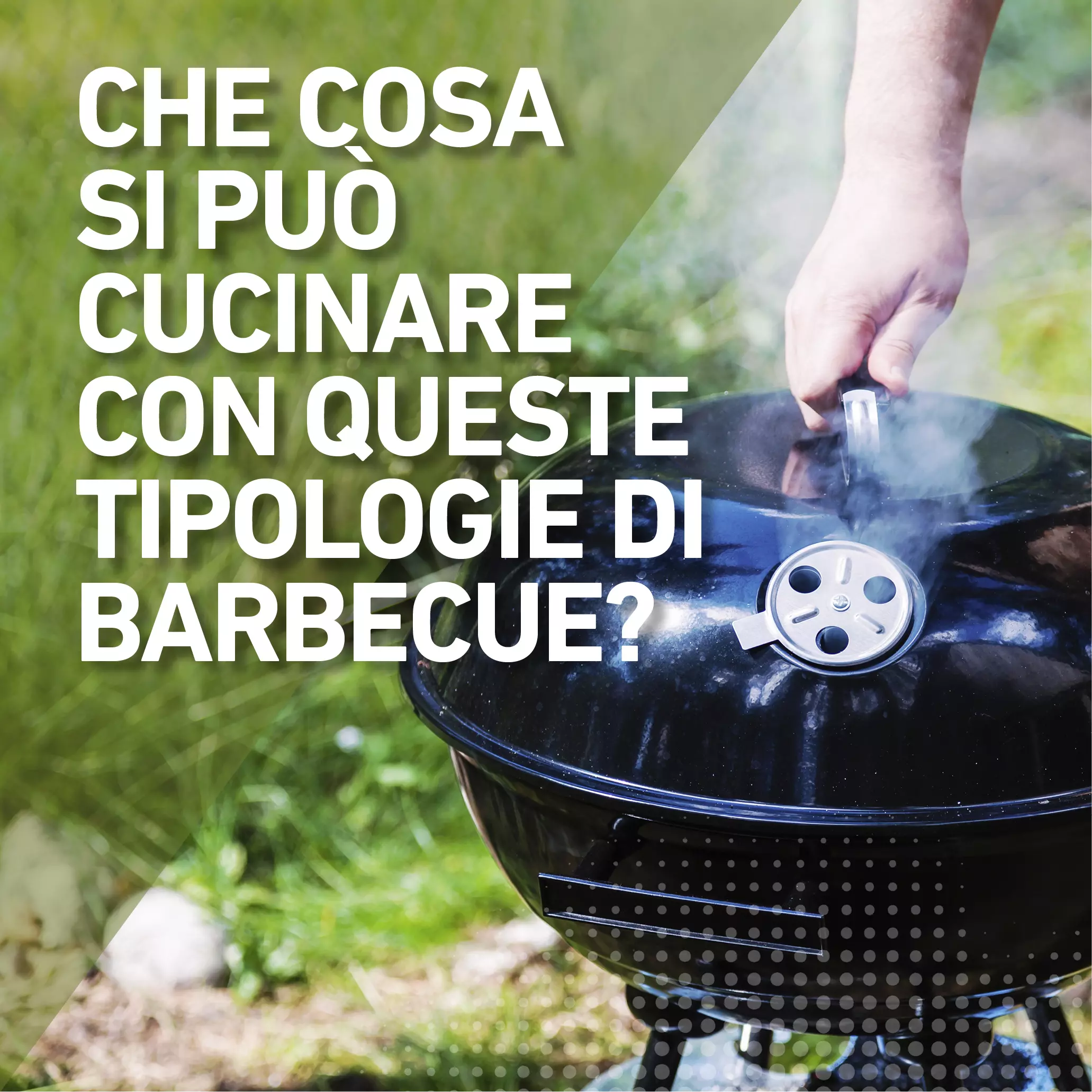 Che cosa si può cucinare con queste tipologie di b