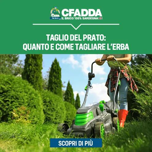 Taglio del prato verde