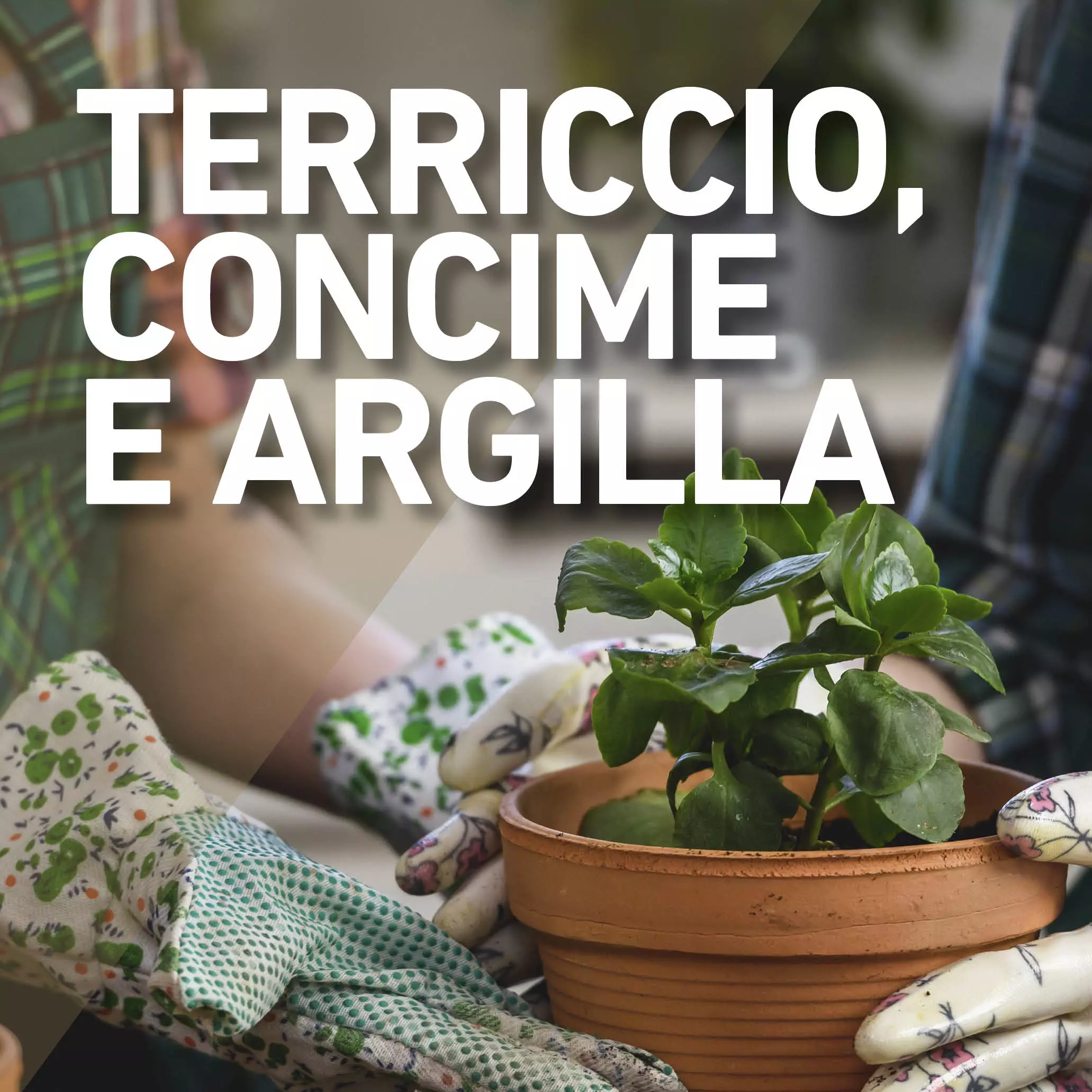 Terriccio, concime, argilla