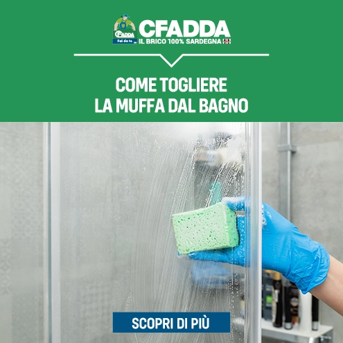 Come Togliere la Muffa dal Bagno