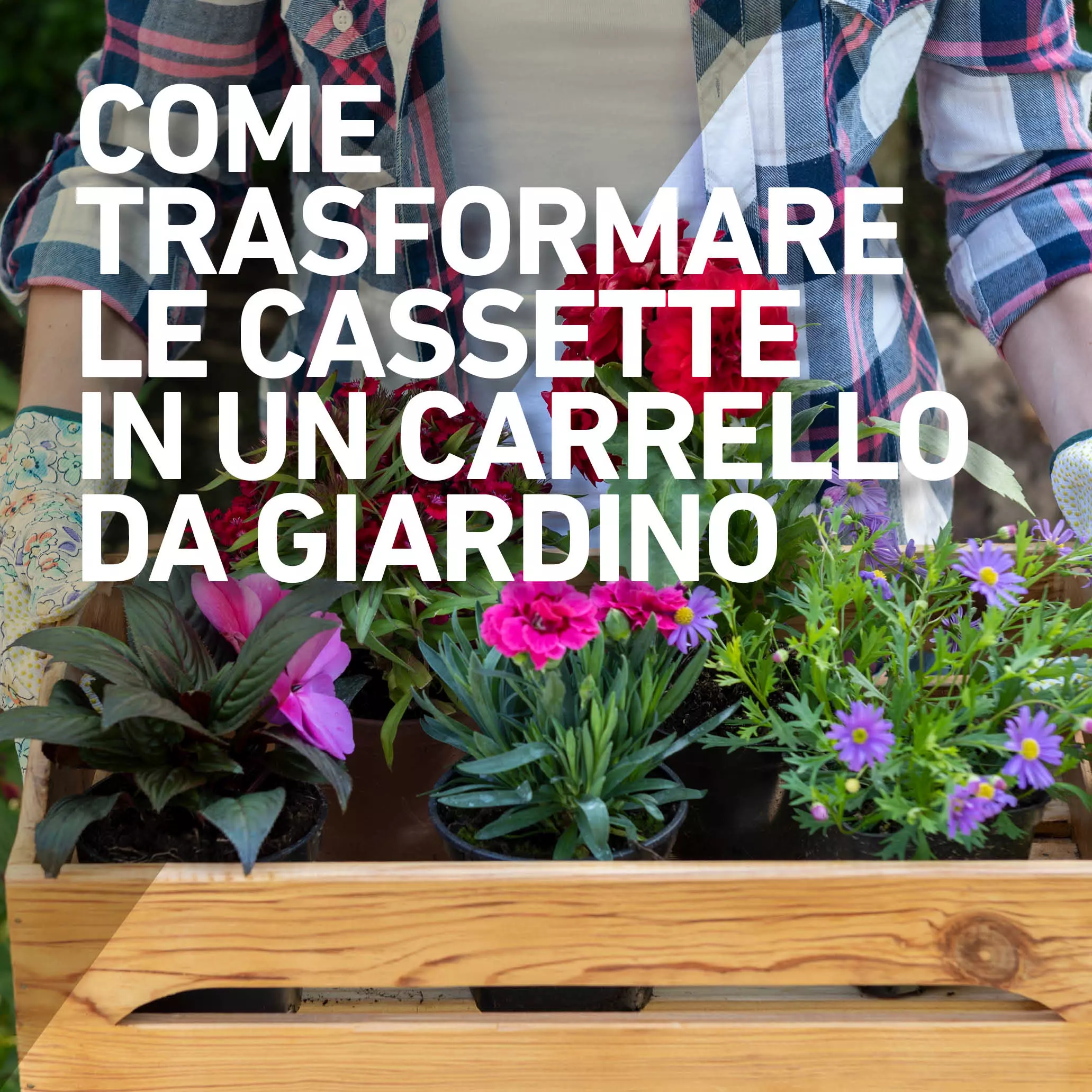 Trasformare le cassette in un carrello da giardino
