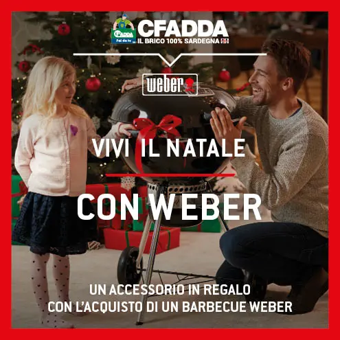 Vivi il Natale con Weber