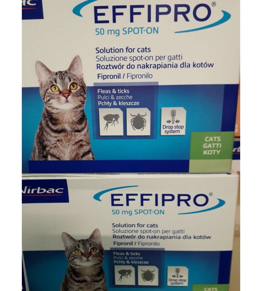 Effipro Duo Gatto