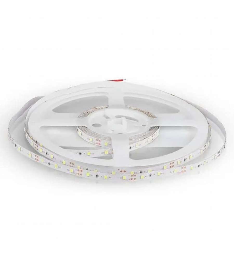 Strip LED SMD3528 4.2W/m 5m 60 LED/m Blu 12V IP20 8mm