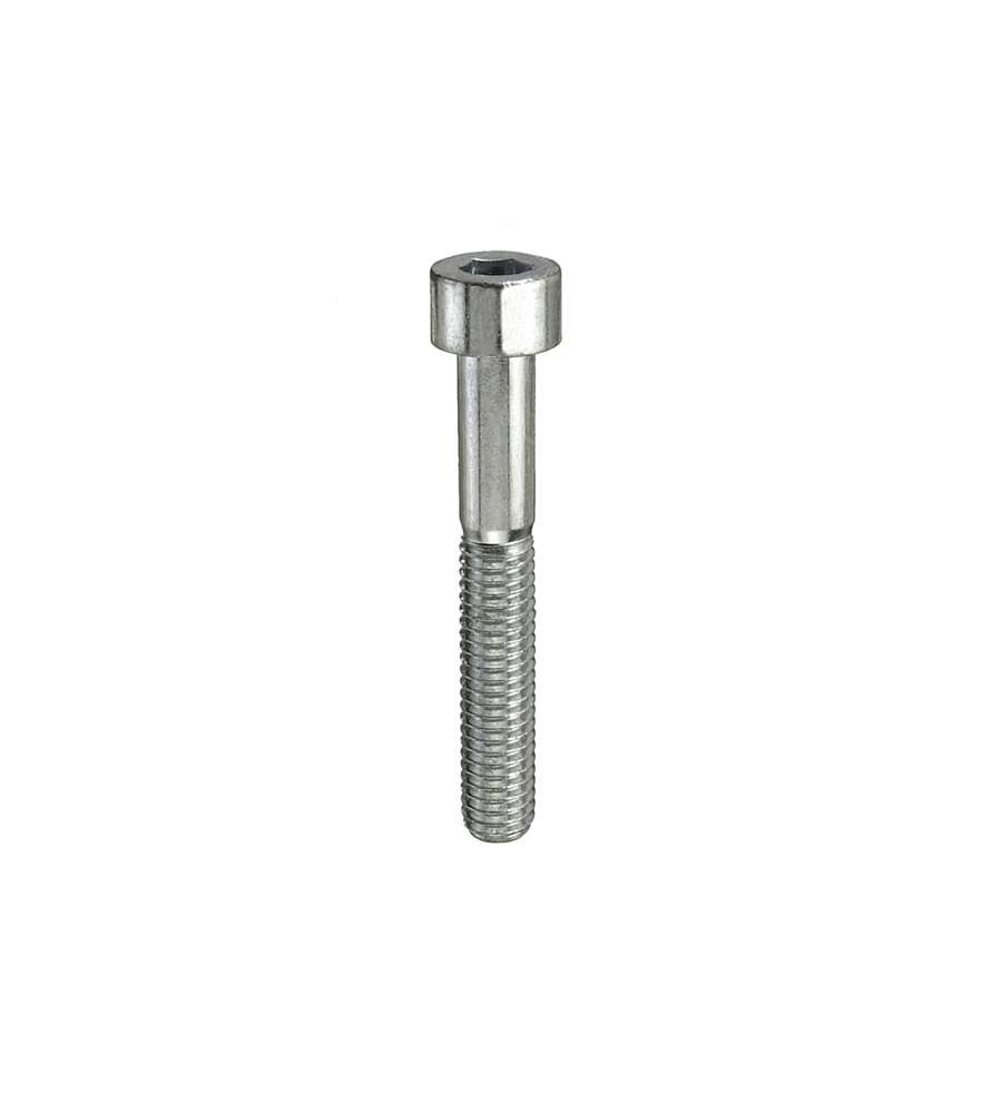 Viti testa cilindrica esagono incassato M4 x 20 - 12 pz.