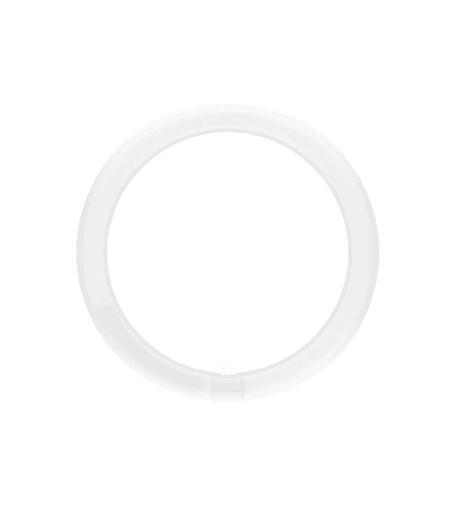 OSRAM Tubo LED Circolare T9 32W 4000K Bianco Freddo 30cm 2200lm