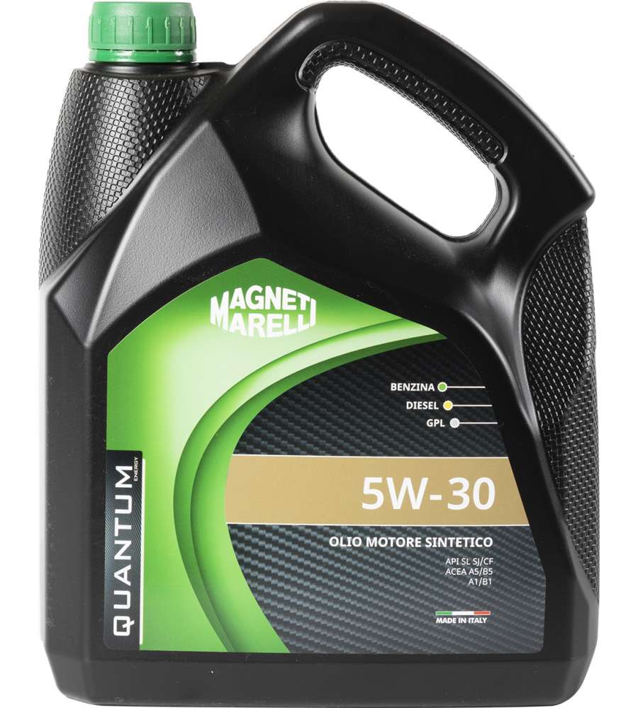 Olio Motori Gpl/Metano Sint 5W-30 L 1 Selenia