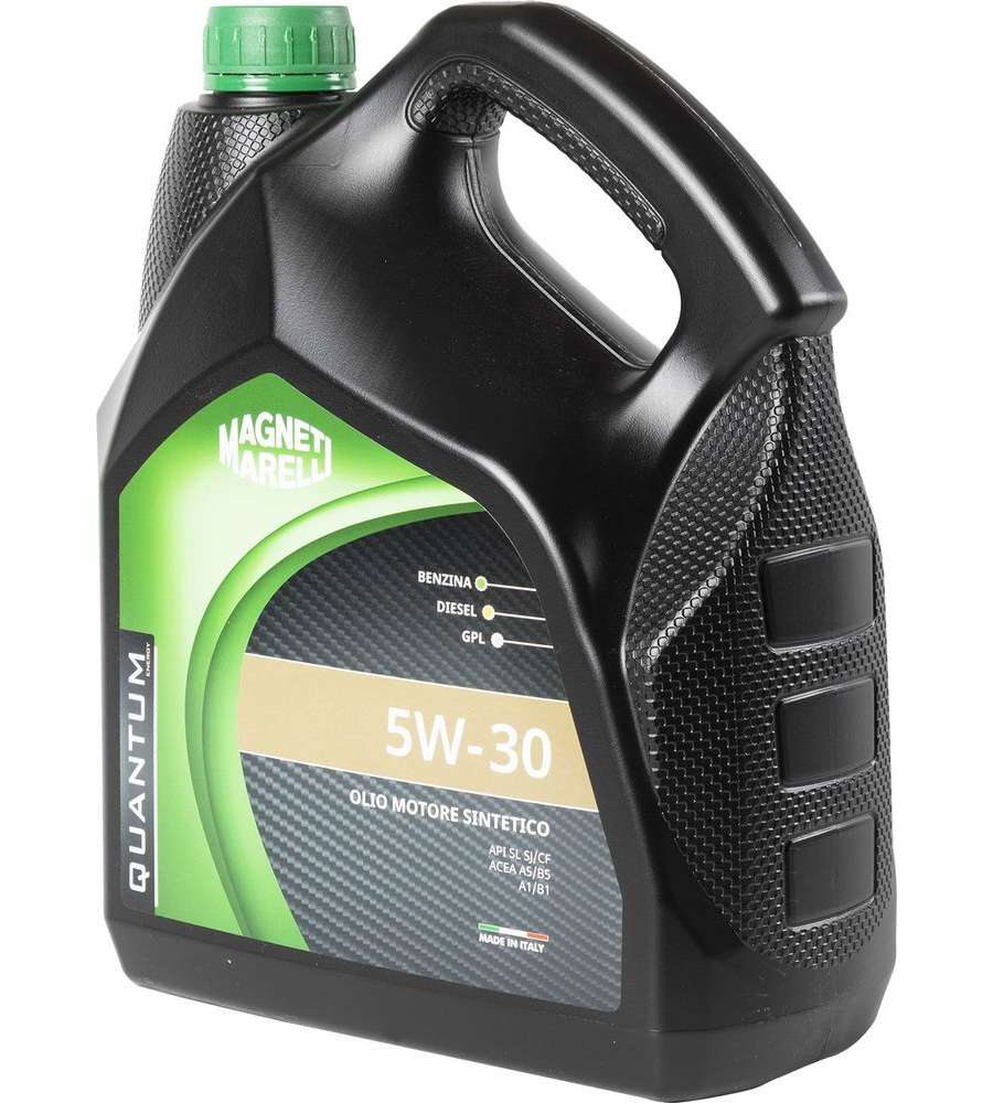 Olio Motori Gpl/Metano Sint 5W-30 L 1 Selenia