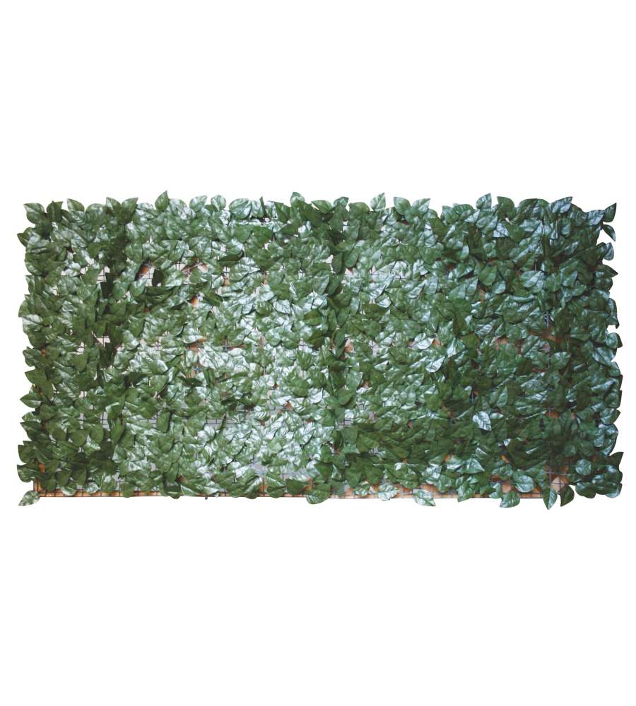 Sempreverde Foglie Lauro 1,5 x 3 m