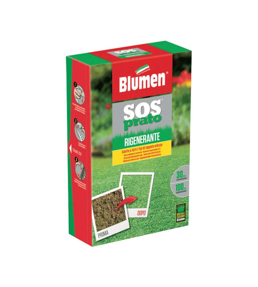 Blumen Semi Prato Rigenerante Verde 200 gr - Rigenera Tappeti Erbosi