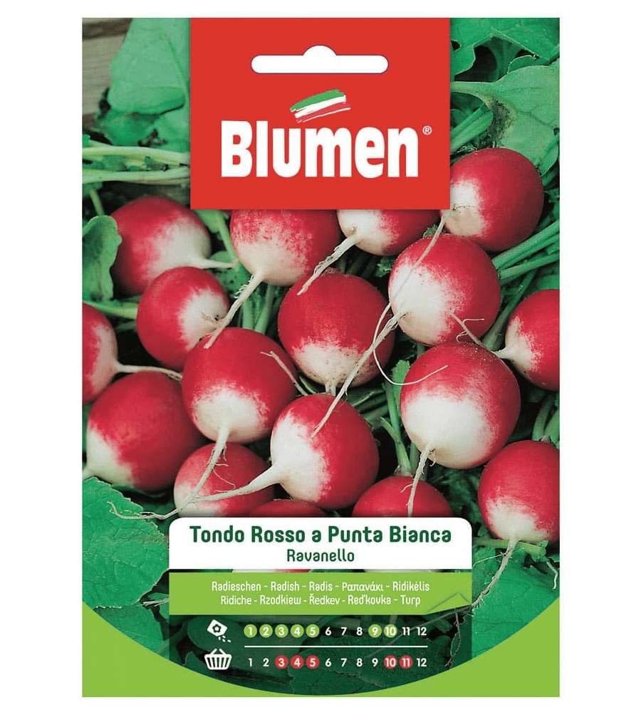 Blumen Semi di Ravanello Tondo Rosso a Punta Bianca - Confezione 1 Unit�