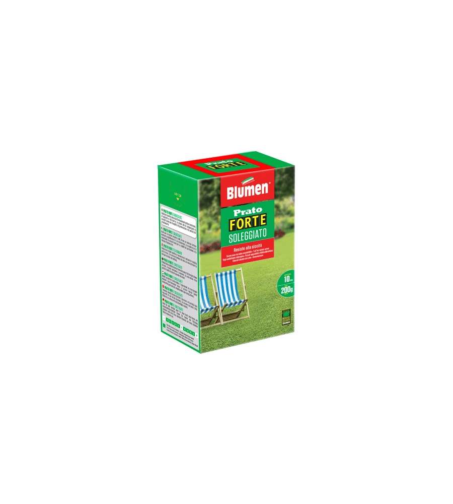 Blumen Prato Forte Soleggiato 200 g - Semi prato verde per sole e calpestio