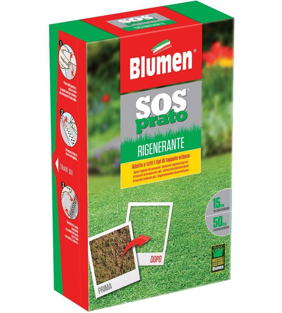 Blumen Prato Forte Rigenerante 500 g - Semi per Prato Verde e Sano