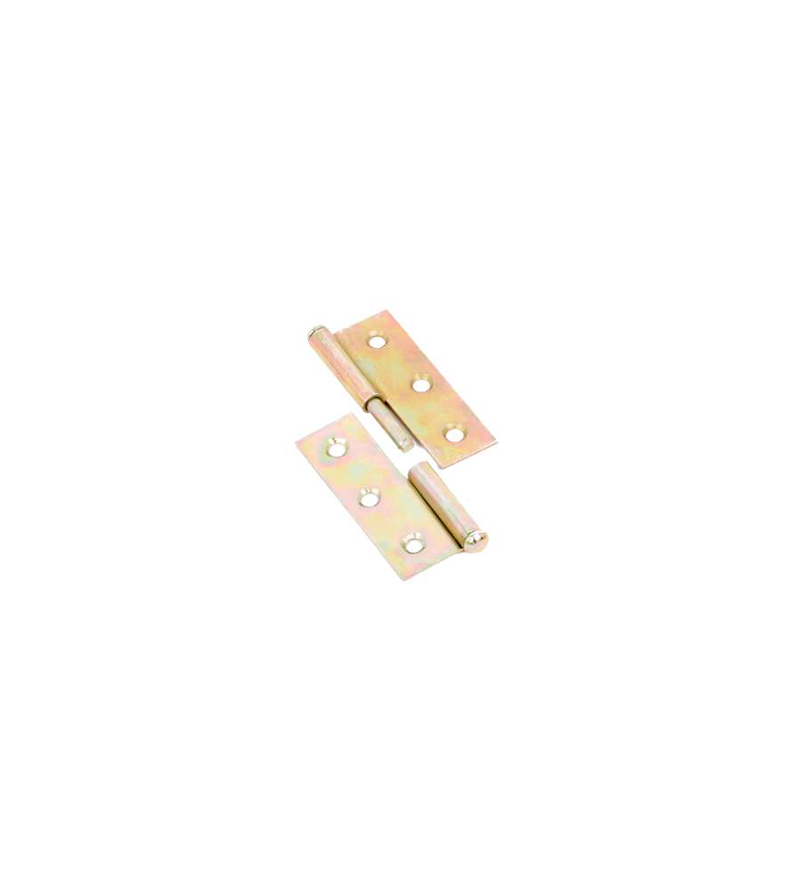 Cerniera Con Perno Sfilabile Mm.50X40