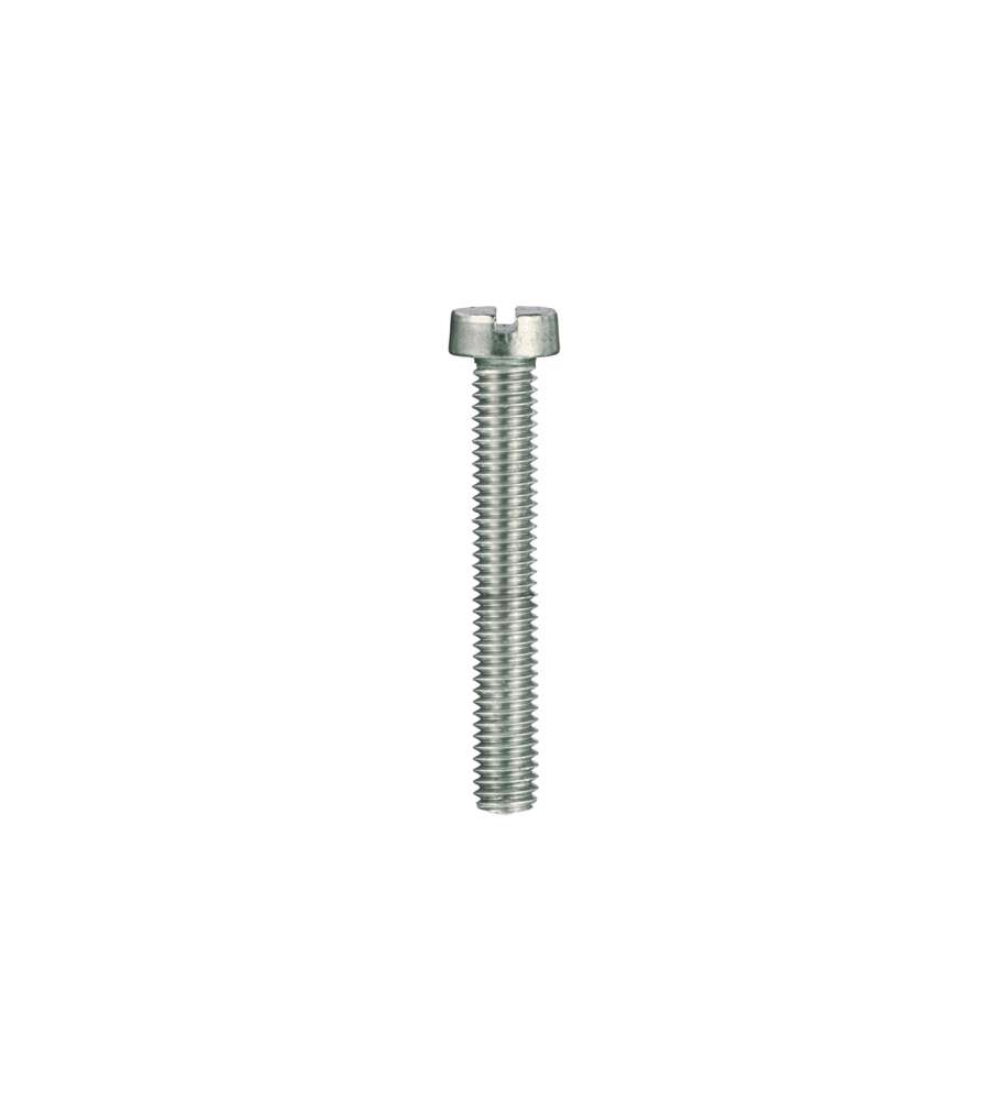 Viti per metallo testa cilindrica Inox A2 - 3 x 25 - 20 pz.