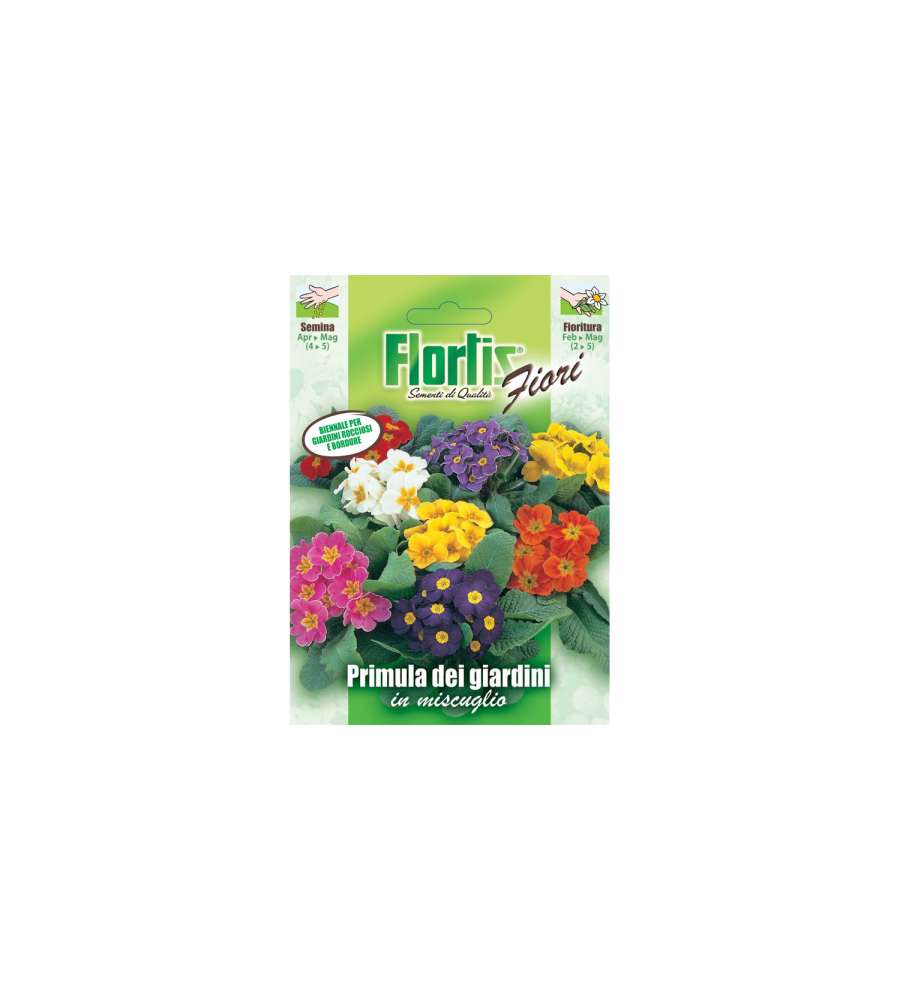 Primula Dei Giardini Mix
