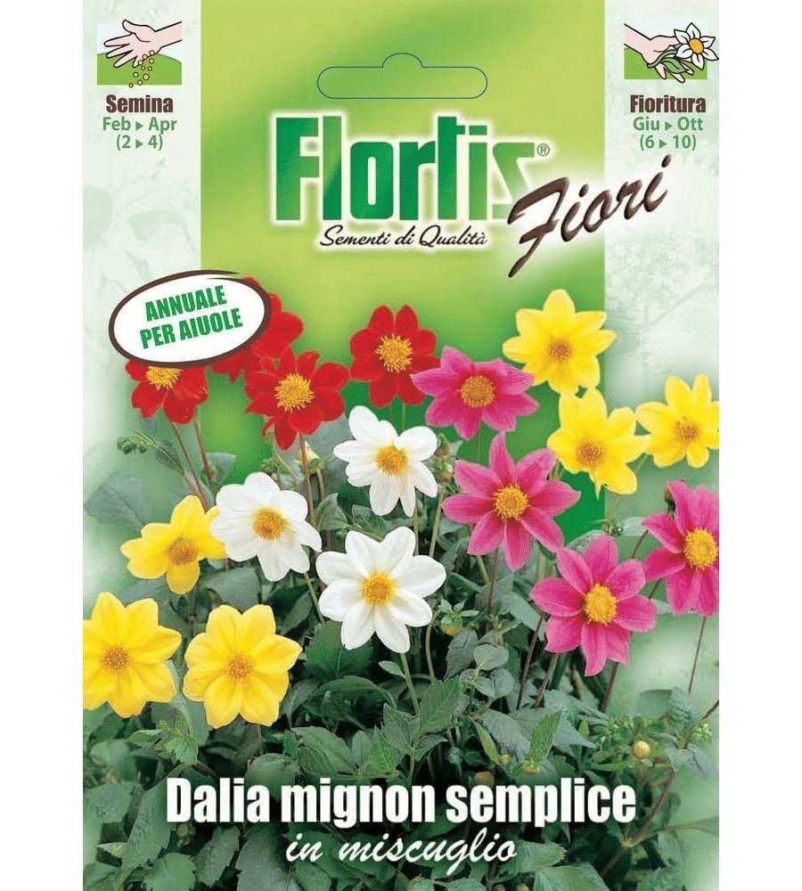 Flortis Sementi Dalia Mignon Semplice in Miscuglio - Fioritura Prolungata