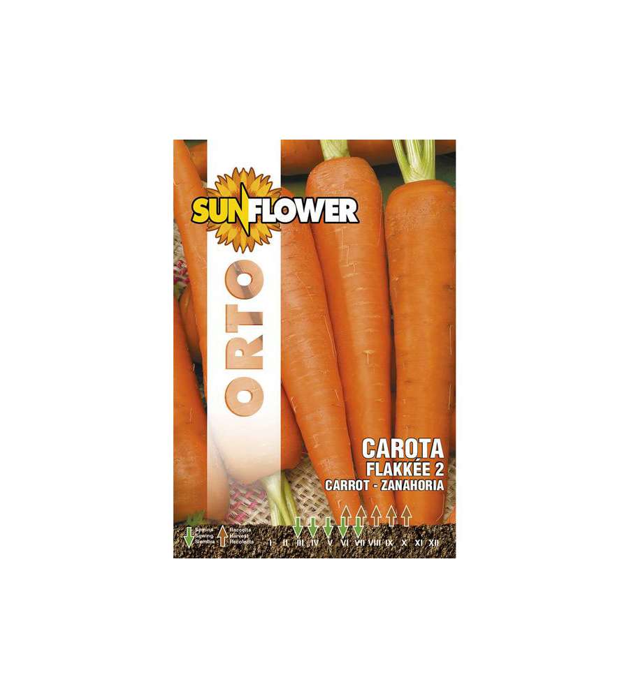 Sementi Carota Flakkee 2                 Sunflower