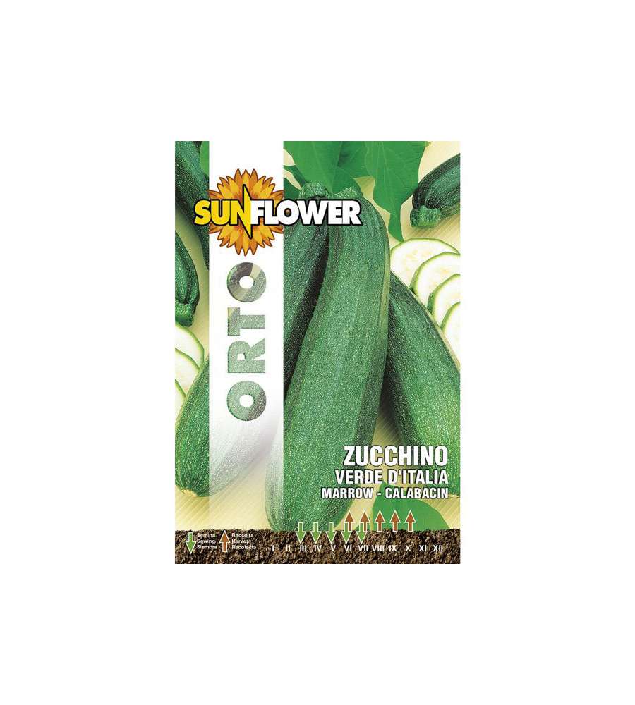 Sementi Zucchino Verde Italia            Sunflower