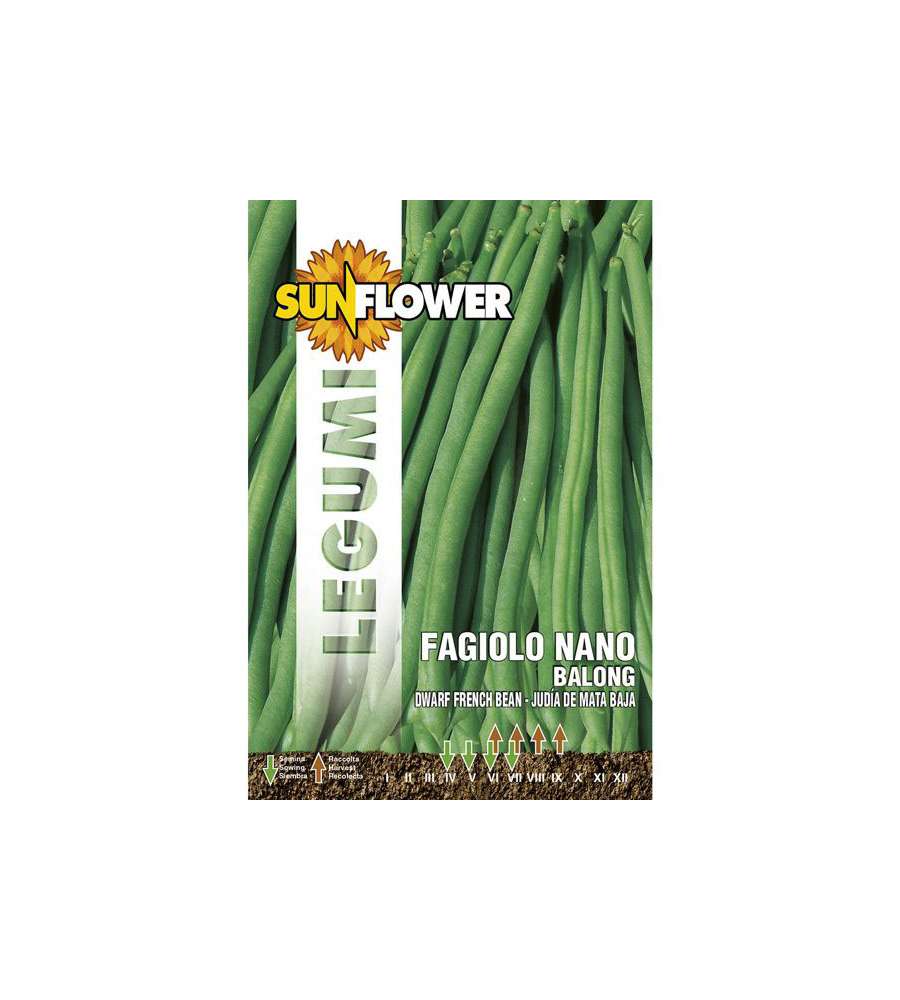 Sementi Fagiolo Nano Balong              Sunflower