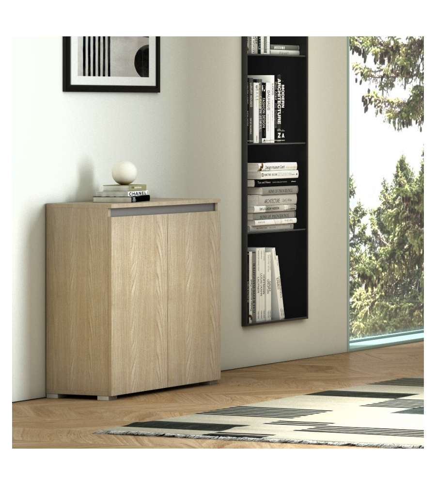 Terraneo Mobile Multiuso Olmo - 2 Ante - 3 Ripiani Regolabili - 80x37x102 cm