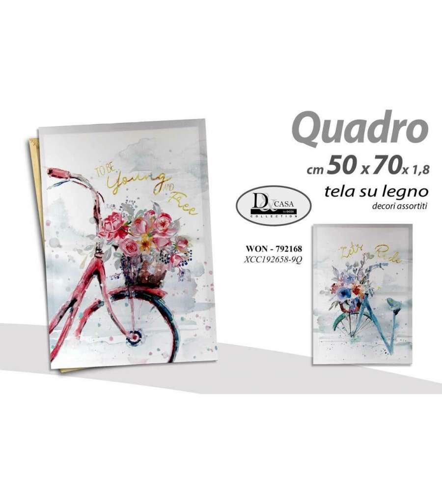 Quadro biciletta