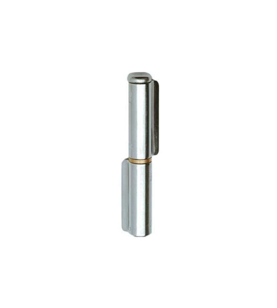 Cerniera 2 Ali Saldare Inox 120X 21