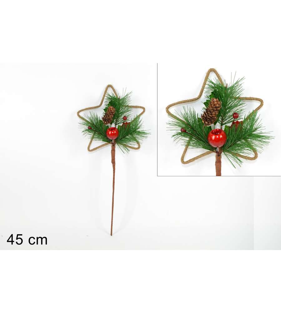 Stelo Stella con Rametto Frutto e Pigne