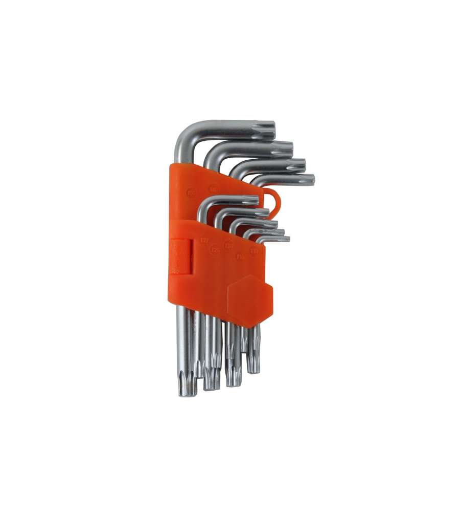 Chiavi Torx T10/50 Pz 9 C/Foro Cv Corte Alte 01976