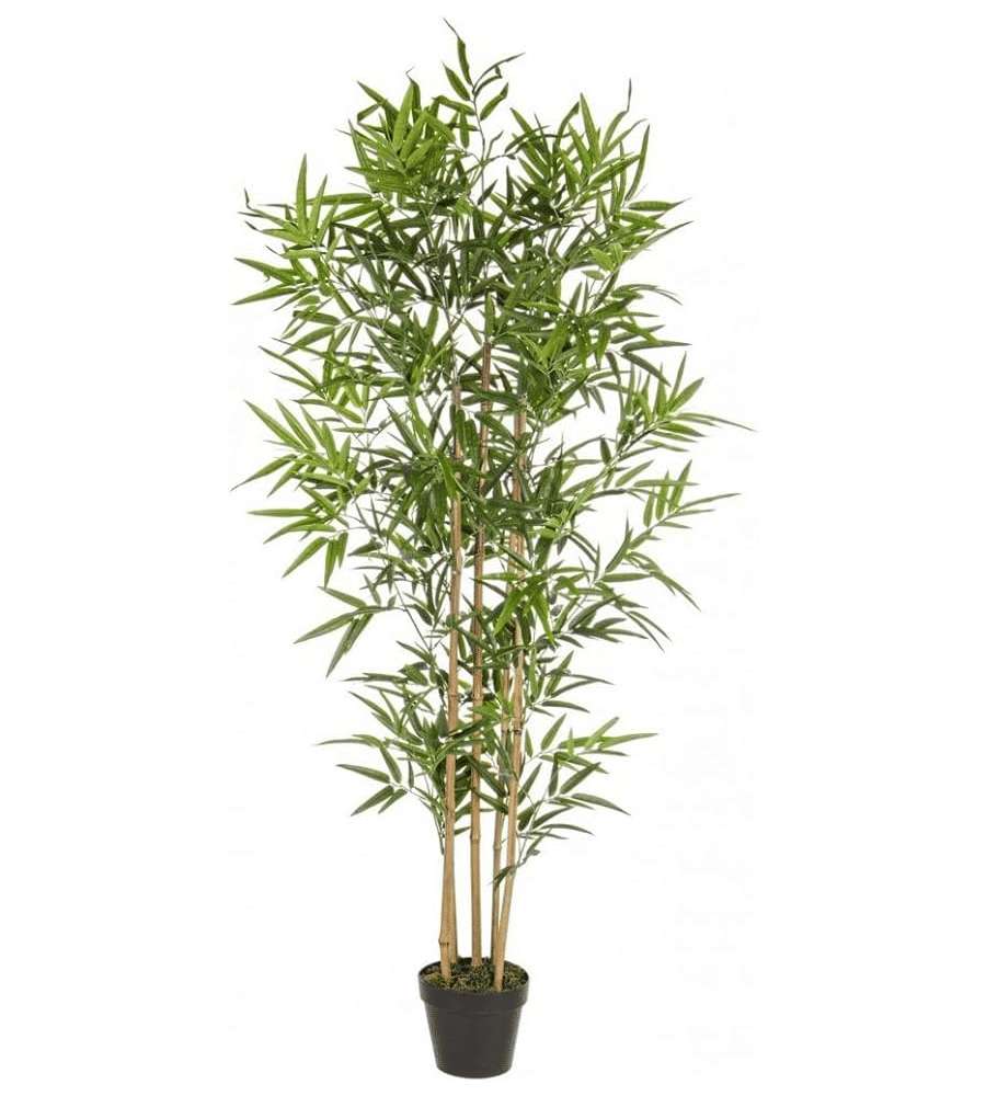 BIZZOTTO Pianta Bamboo con vaso H155 cm - Decorazione in plastica e cemento