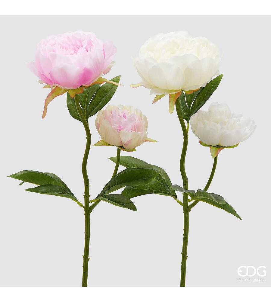 EDG Ramo Decorativo Peonia X2 con Foglie 55 cm White Pink Assortiti