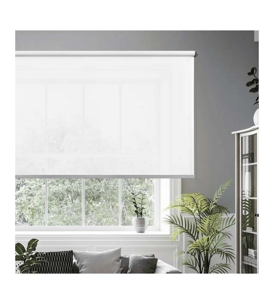 STOR PLANET Tenda a Rullo Filtrante Trasparente Bianco Neve 80x250 cm