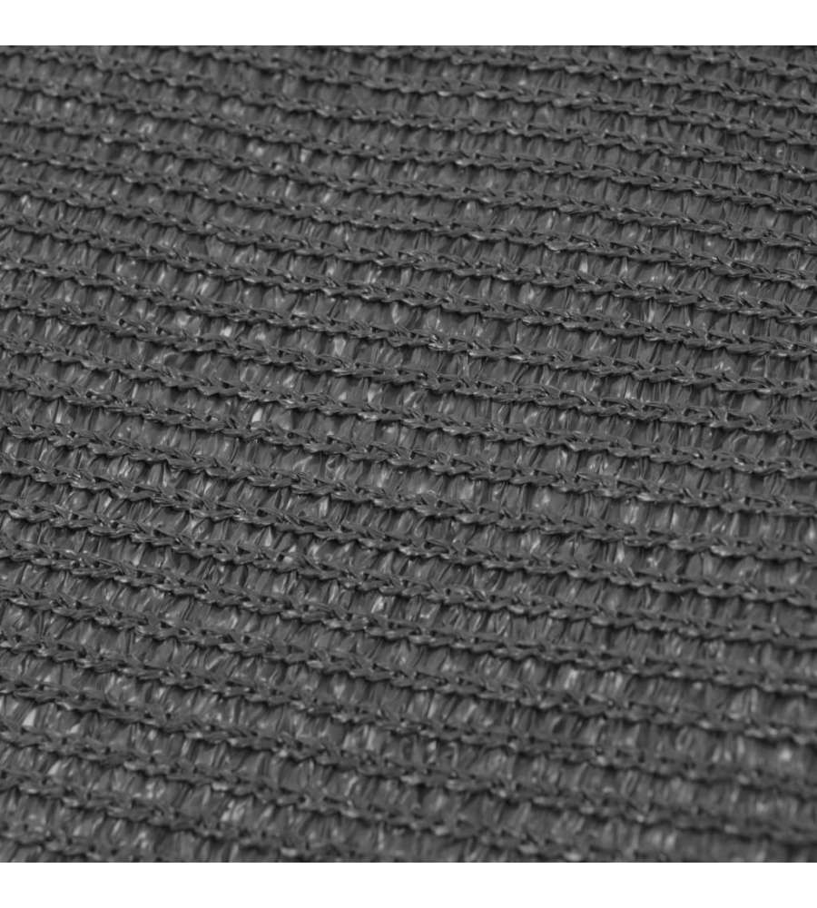 Tappeto da Tenda 250x400 cm Antracite