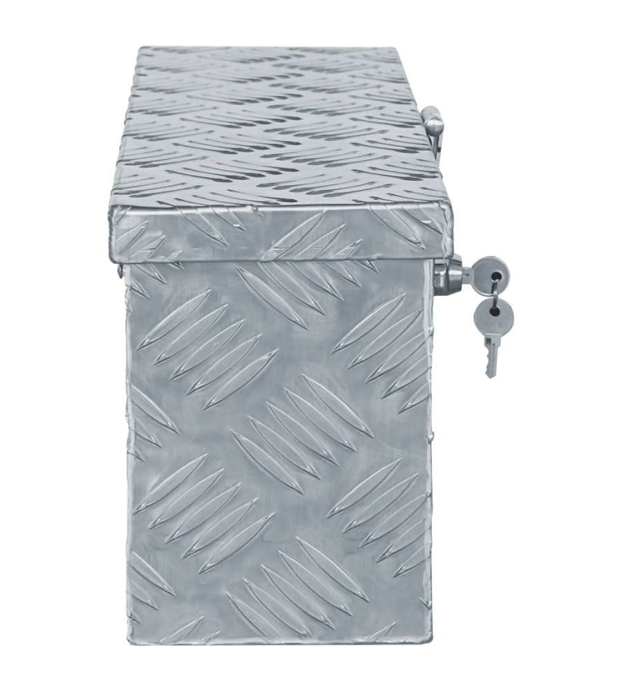  Cassetta in Alluminio 48,5x14x20 cm Argento
