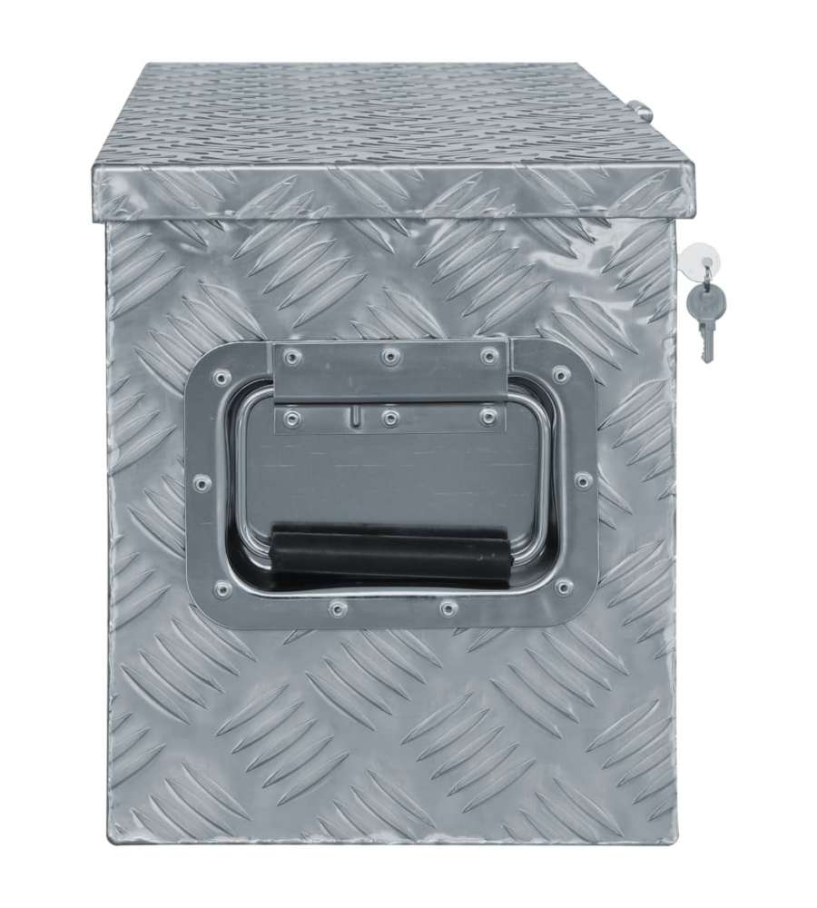  Cassetta in Alluminio 61,5x26,5x30 cm Argento