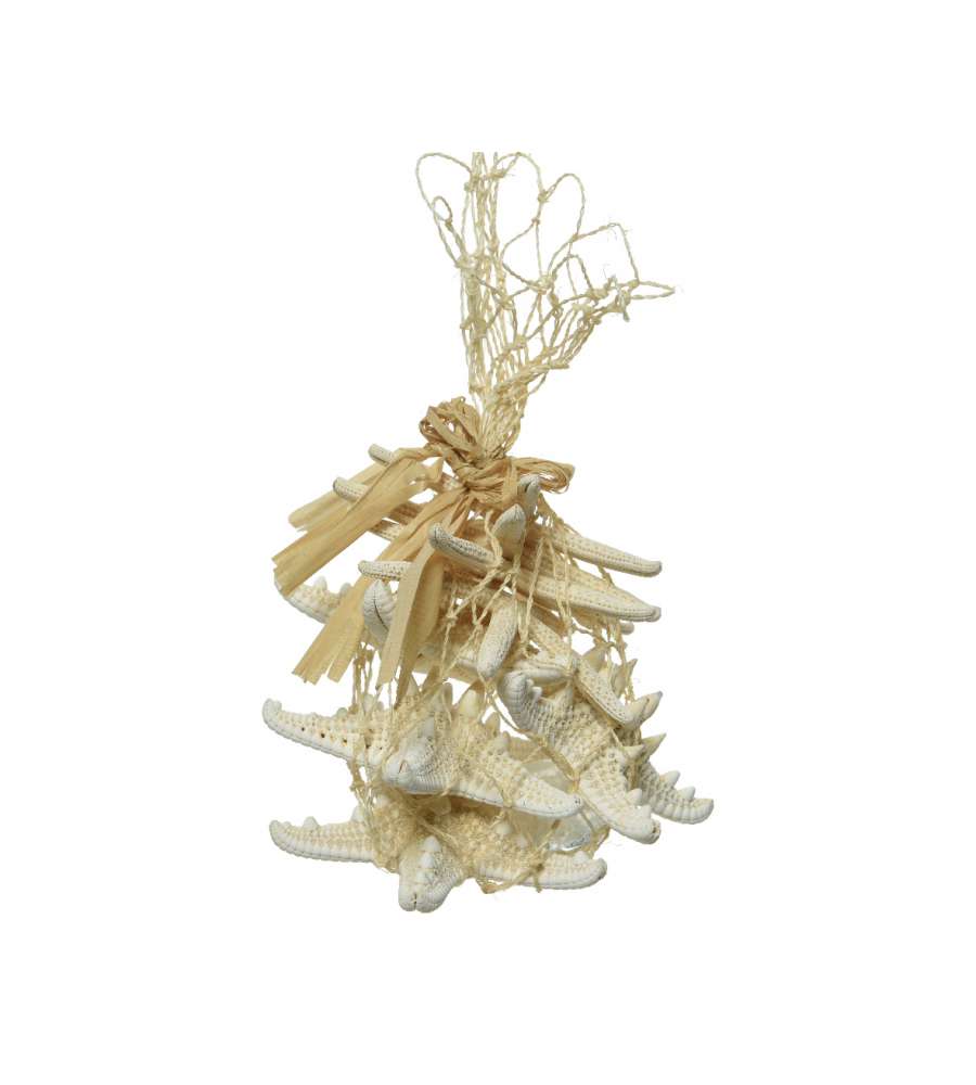 Stelle Marine Decorative 9 Cm