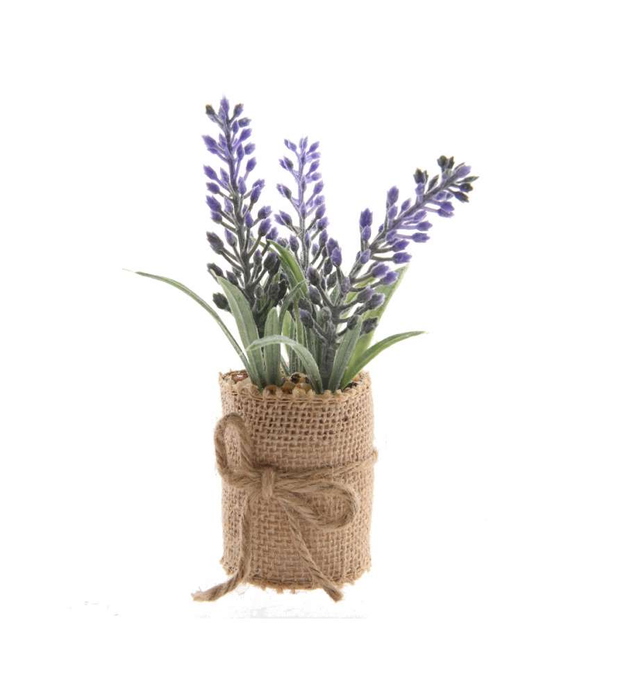 Lavanda con vaso in juta 5 x 12 h cm