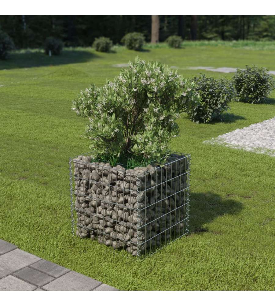 Gabbione Letto Rialzato in Acciaio Zincato 50x50x50 cm