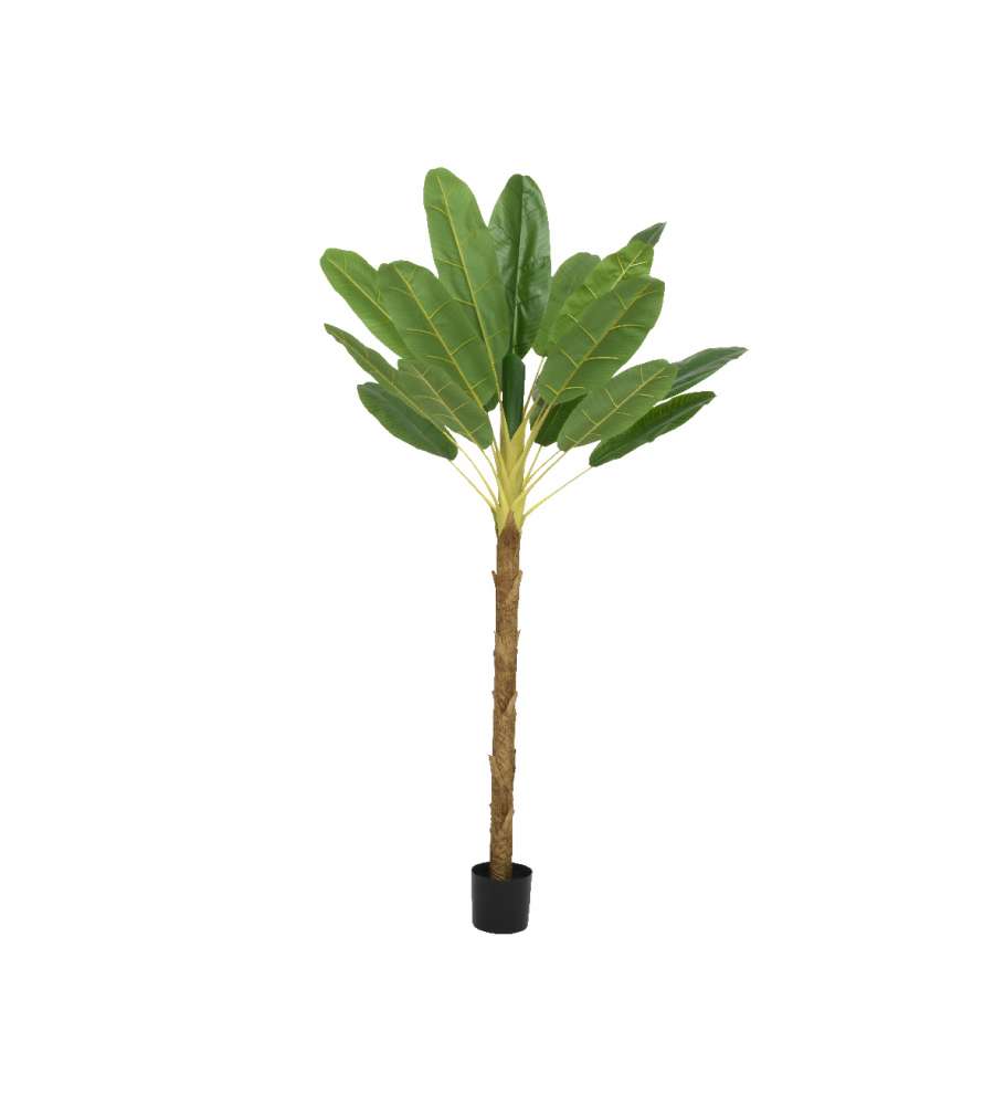 Pianta Banano Artificiale H 280