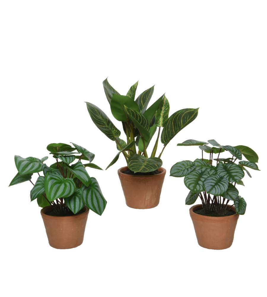 Pianta artificiale con vaso in terracotta 30x30x h30 cm assortiti