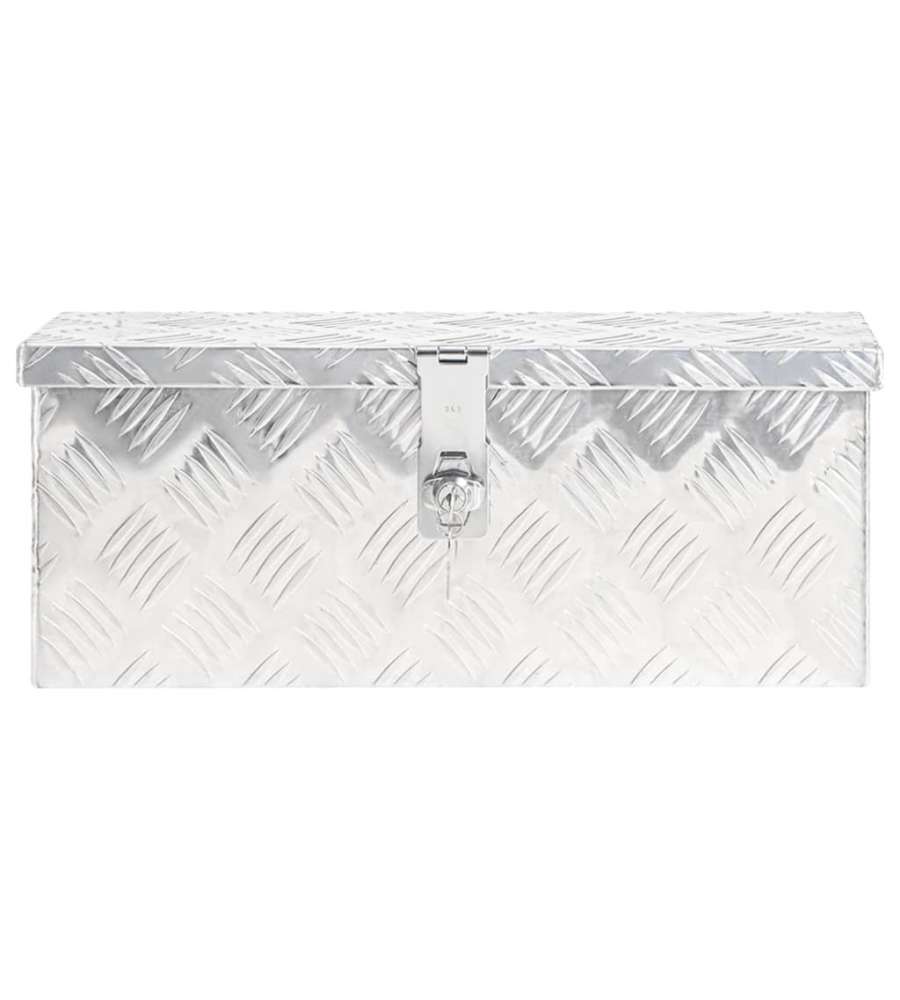 Contenitore Portaoggetti Argento 50x20,5x15 cm in Alluminio