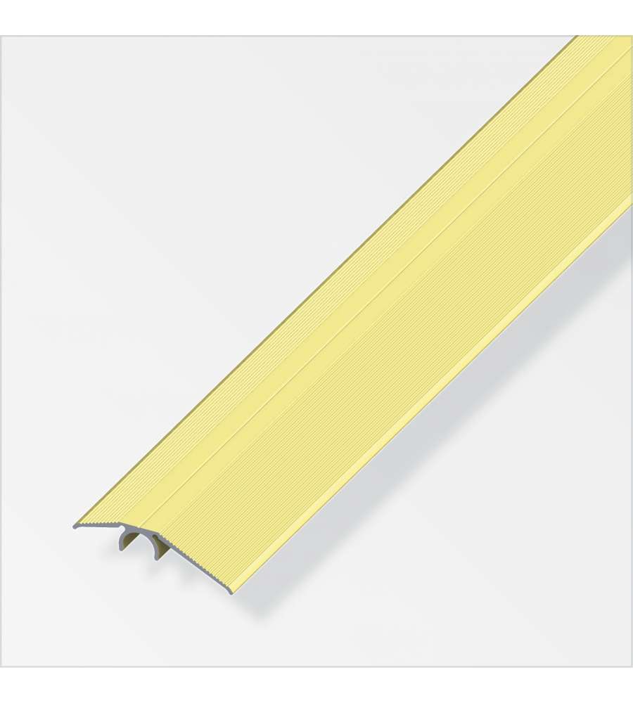 Profilo Compensazione 40 Alluminio Ottone 2 Metro