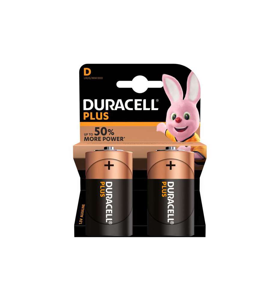 Pila Plus Torcia Pz 2 Mn1300 Duracell