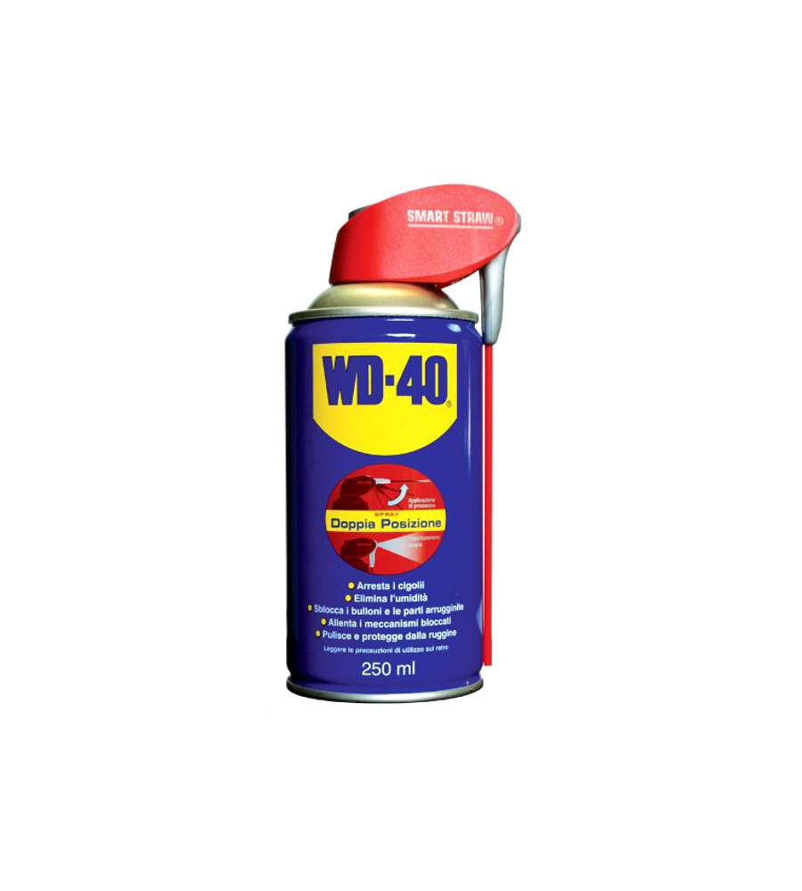 Lubrificante Spray Ml 250 Professional        Wd40