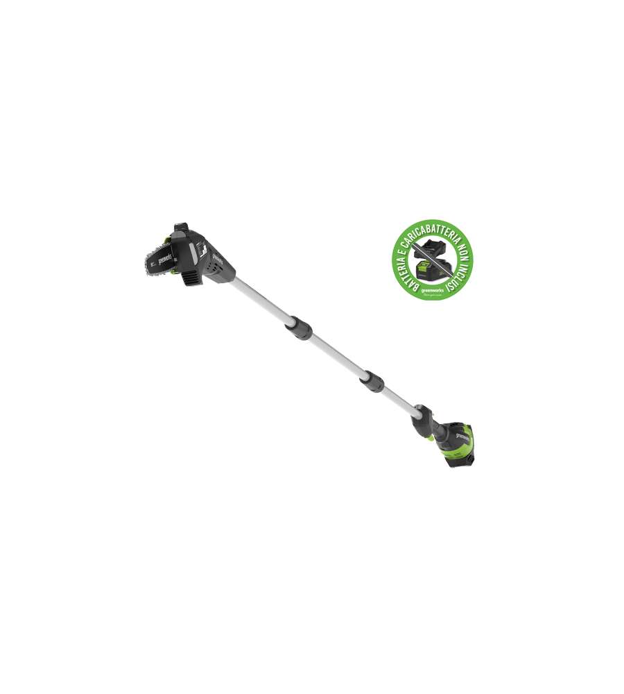 Sega da Potatura con Asta Greenworks 48V G48Ps