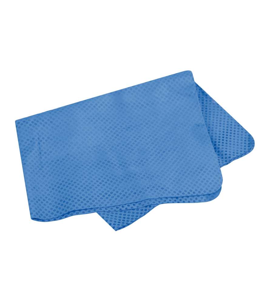 Panno asciugatura Easy Wipe 43 x 32 cm
