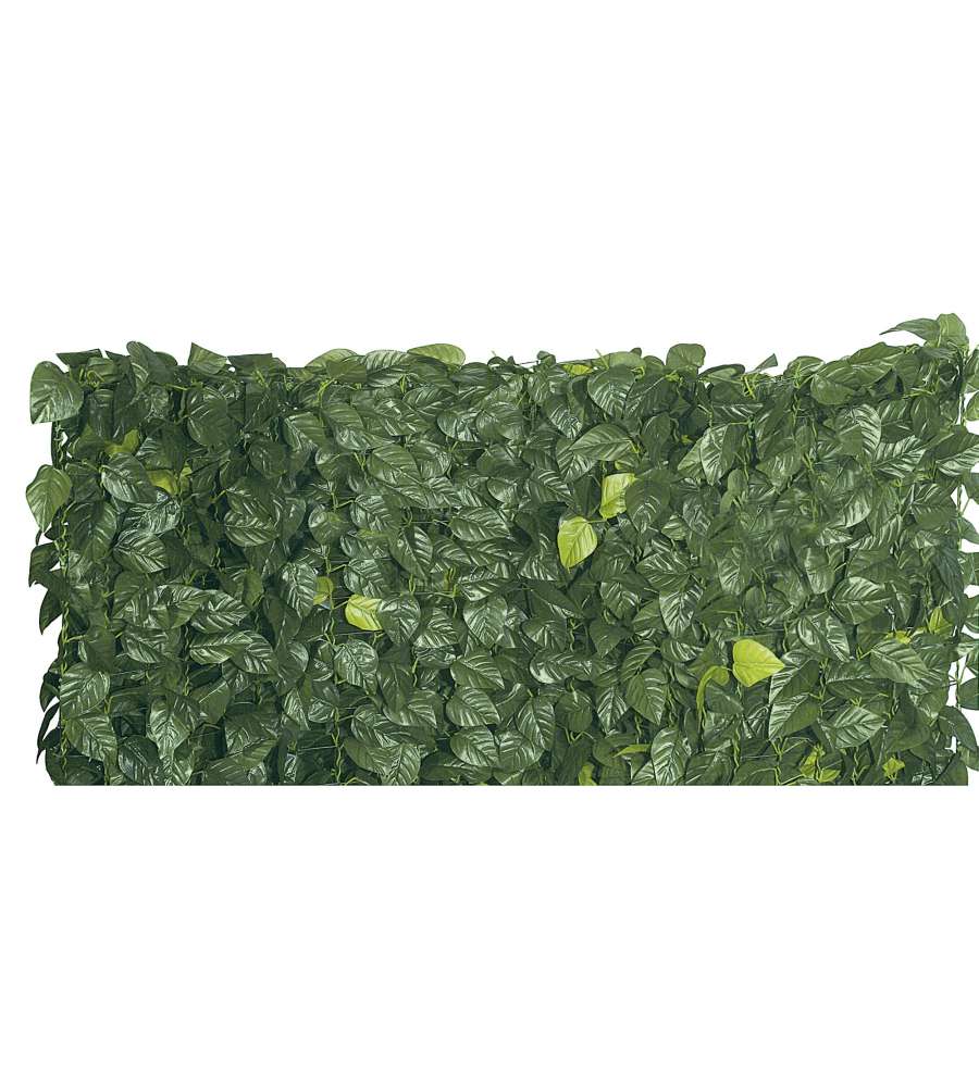 Sempreverde Foglie Lauro 1 x 3 m
