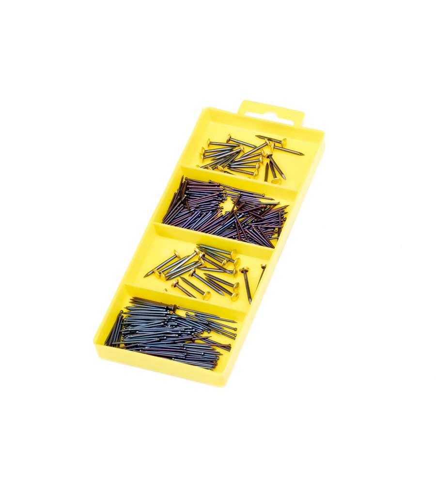 Assortimento Chiodi Mm.1,2X20-1,2X25-2X20-2X25